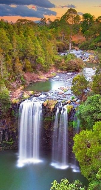 ✯ Dangar Falls, Dorrigo NSW, Australia
