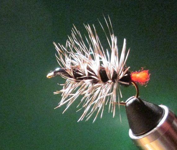 Black Woolyworm Fishing Fly by Call of the Wild Fl...