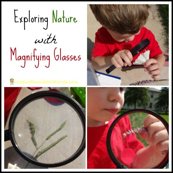 Exploring Nature with Magnifying Glasses
