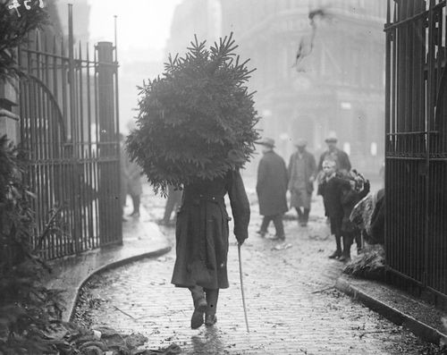 Taking the Tree home, Chelsea, London c.1915