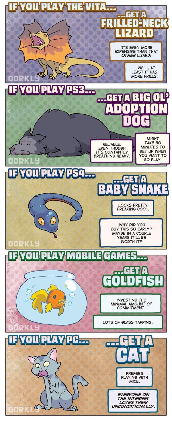Dorkly Comic: The Perfect Pet For Every Gamer | Ge...