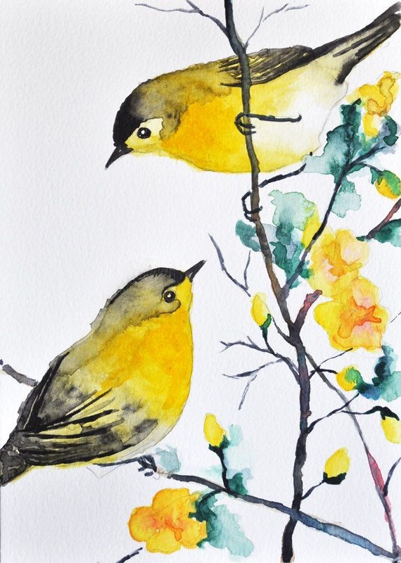 ORIGINAL Watercolor bird painting - 2 Warblers / R...