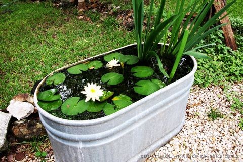 10 Easy Steps to Create a Simple Backyard Pond wit...