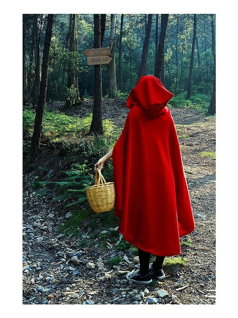 who's afraid of the big bad wolf? I was Lil Red Ri...