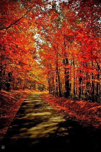 Autumn in Virginia | by konrad_photography