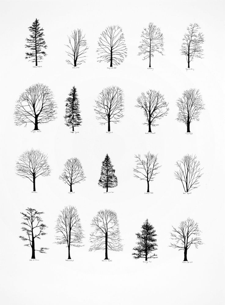 Trees can make really nice tattoo designs, like th...