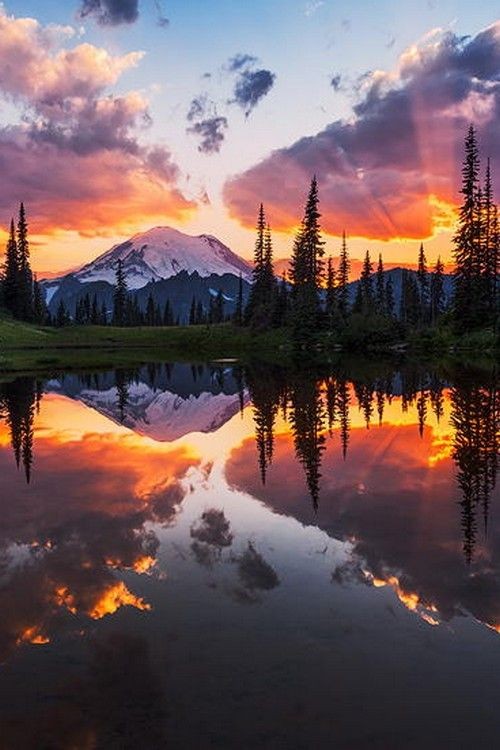 Mount Rainier reflected in Tipsoo Lake at sunset,...