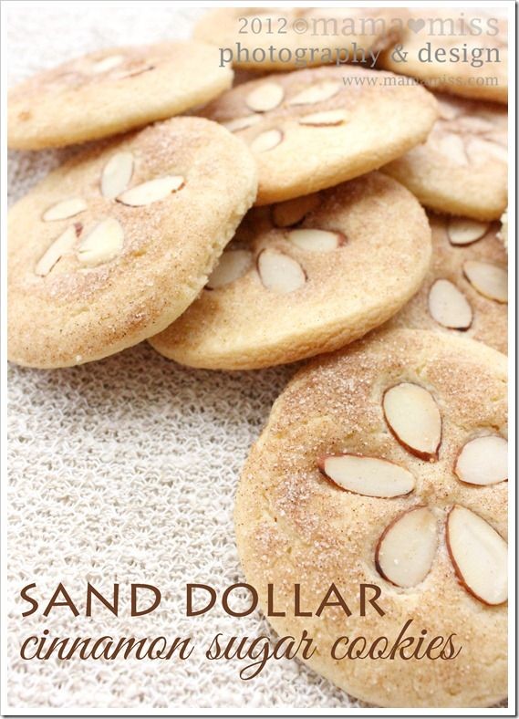 sand dollar cinnamon sugar cookies - These would b...