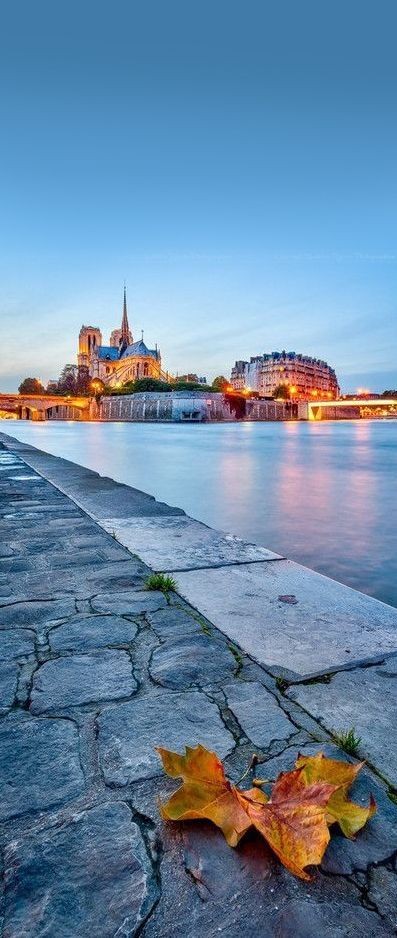 ✿ ❤ Notre Dame, Paris, France