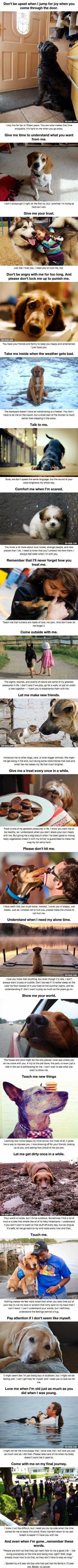 An emotional realization for dogs. :( #DogLover #A...