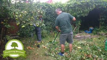 Comprehensive Garden Clearance Services in Manches...