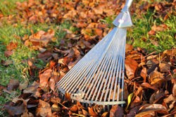 Complete Leaf Clearance | Gardening Services Warri...