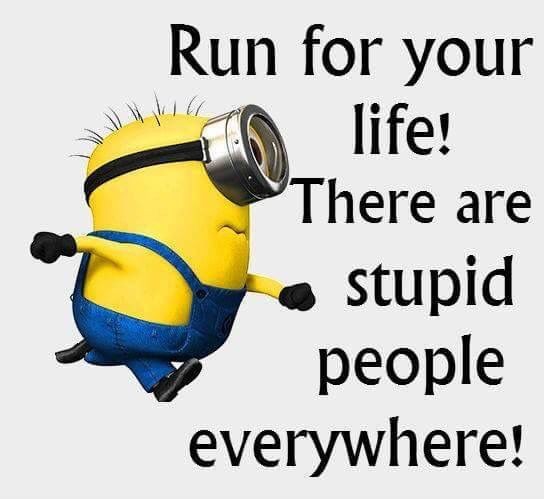 Best Funny Minions Quotes and Jokes &nbsp&#823...