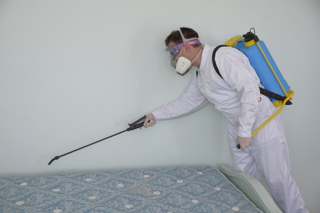 Bed Bug Control Chester | Specialist Bed Bug Exter...