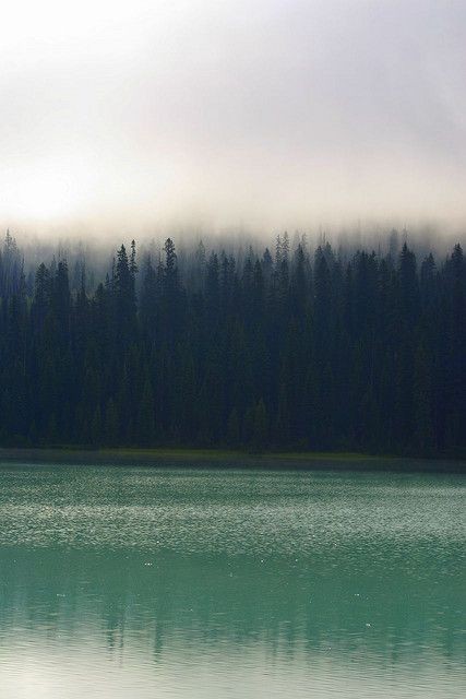 Emerald Lake Mist, Yoho National Park - BC, Canada...