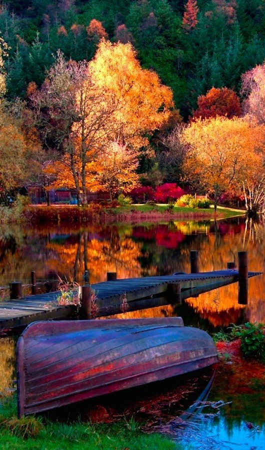 Vibrant autumn lake reflection