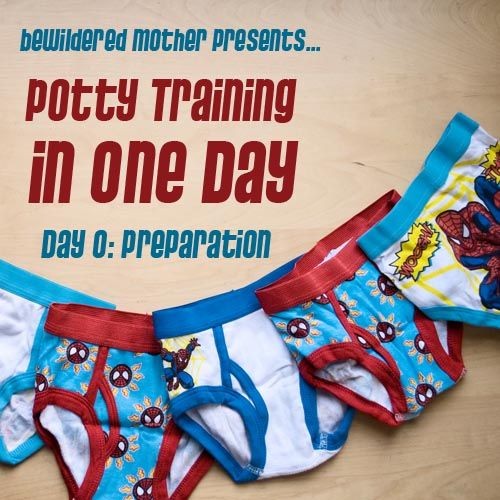 Potty Training in One Day: Day Zero (Preparation)...