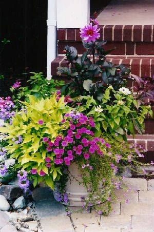 front porch planter purple black chartreuse green