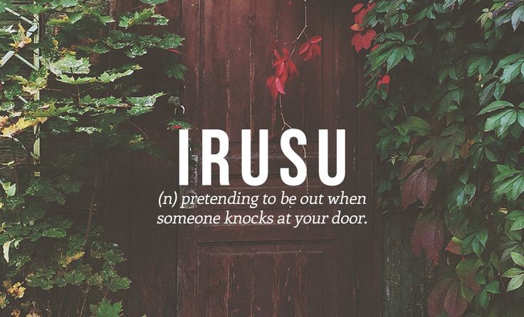 Irusu. Any country that invents a word for this ac...