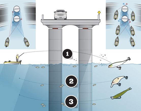 Catch More Bass Under Bridges With These Tips from...