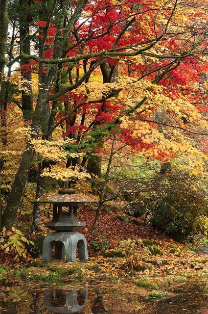 A stone lantern under autumn colored maples, Nikko...