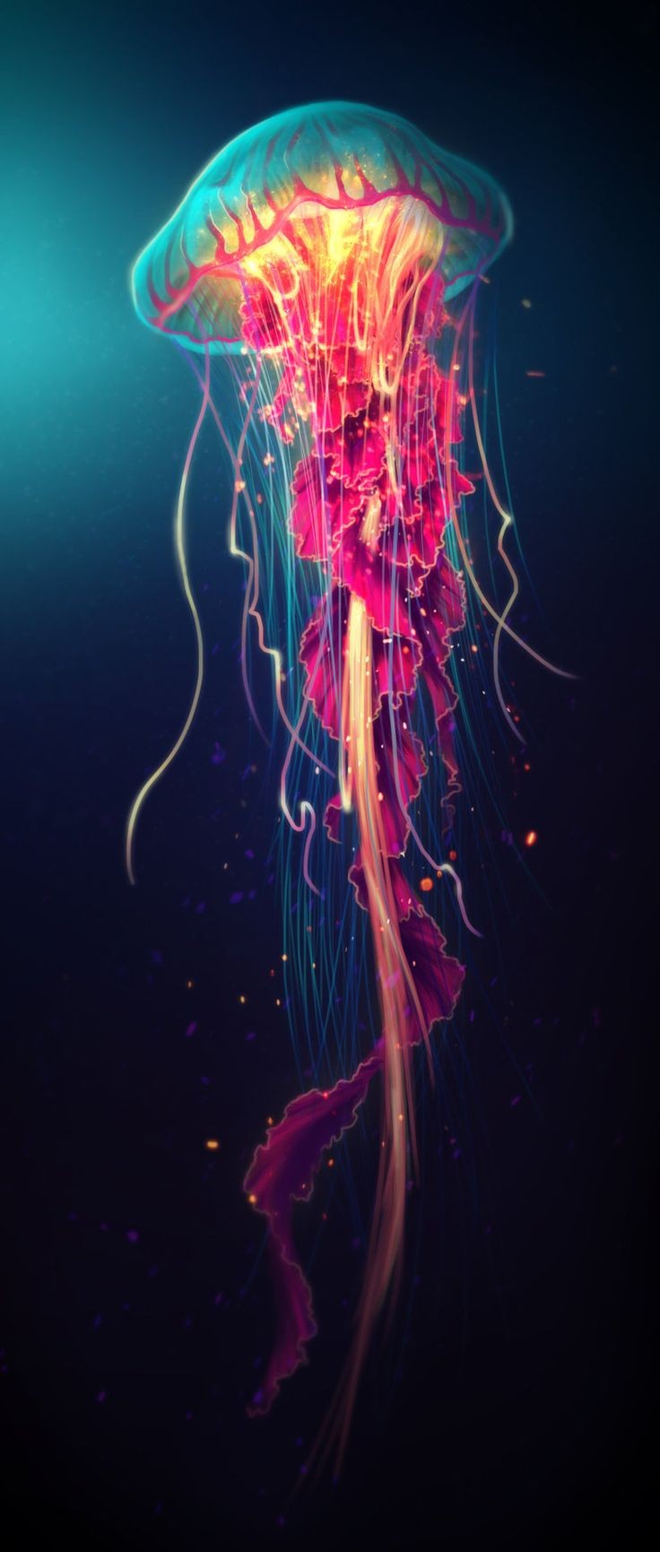 Jellyfish by shobey1kanoby | re-pin | follow me on...