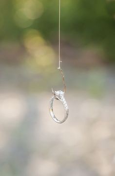 Engagement ideas ring on a fish hook