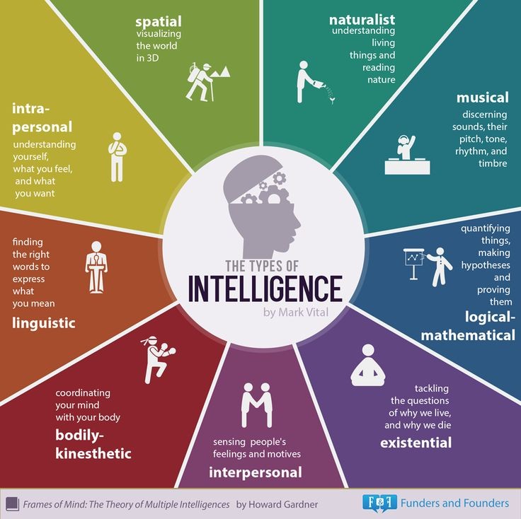 Which Kind Of Multiple Intelligences Are You Espec...