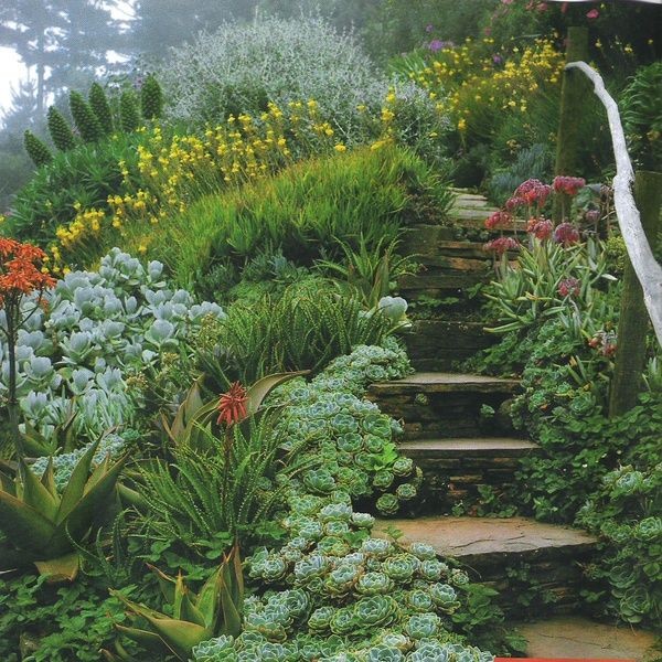gorgeous stairway and rail with succulents (porteg...