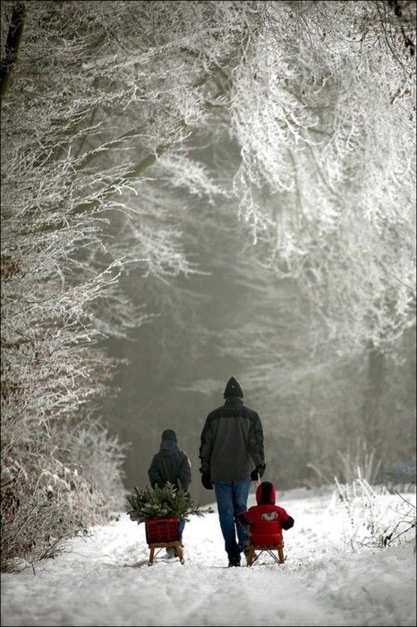 I love snowy, magical, nighttime walks with the fa...