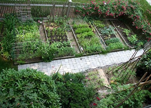 Vegetable gardens to feed residents and guests!  I...