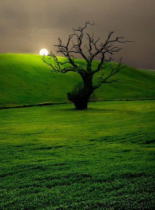 Campo Andaluz , Andalusian Countryside - The 100 M...