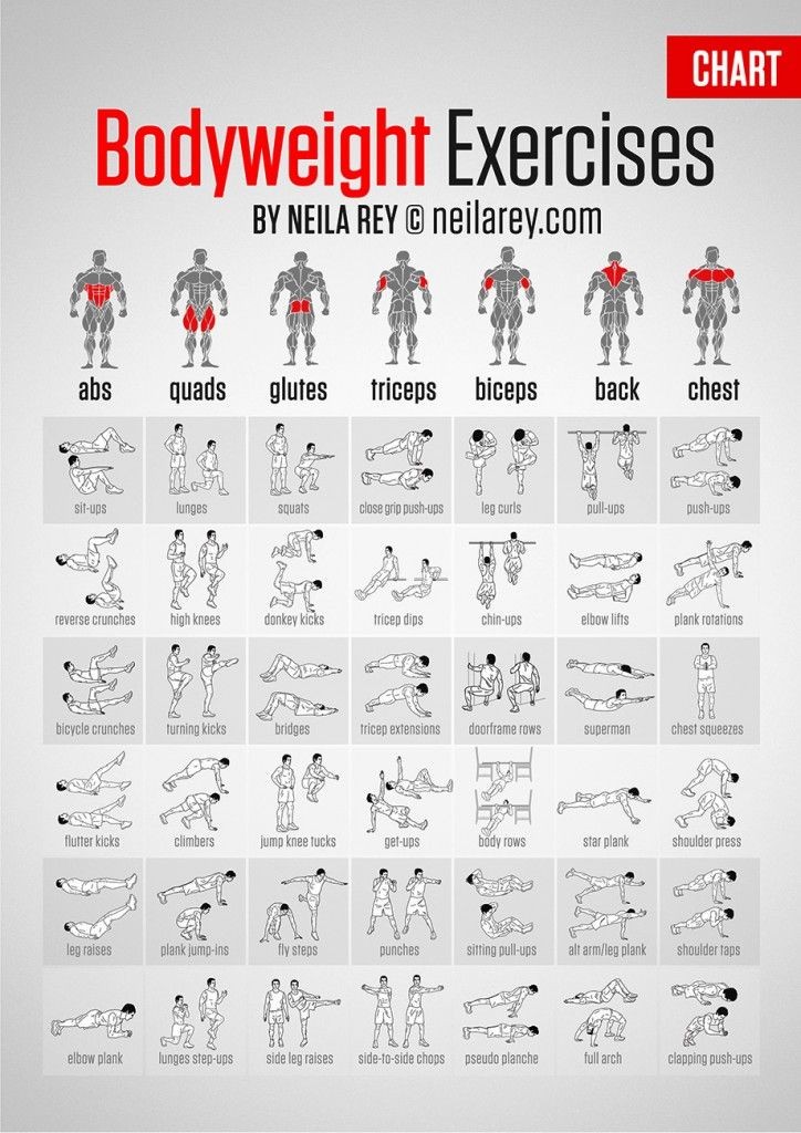 best exercises targeting each muscle group | Downl...