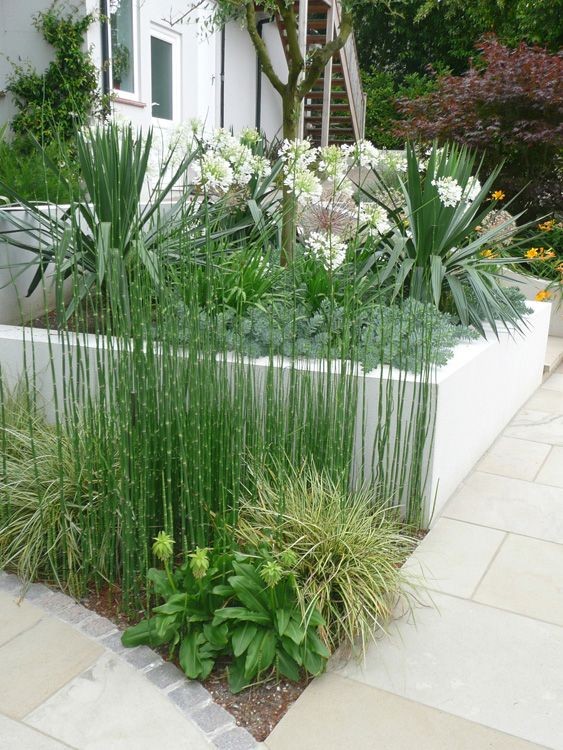 Contemporary Garden Planting & Plants Used In...