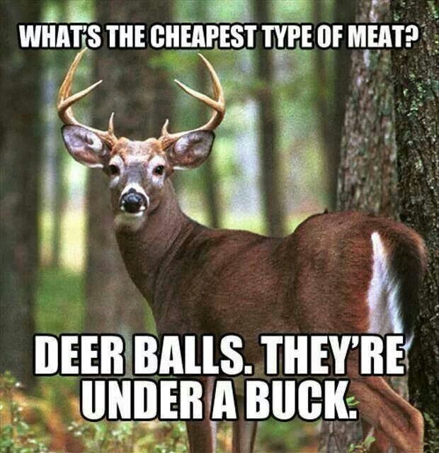 Deer hunting true enough haha