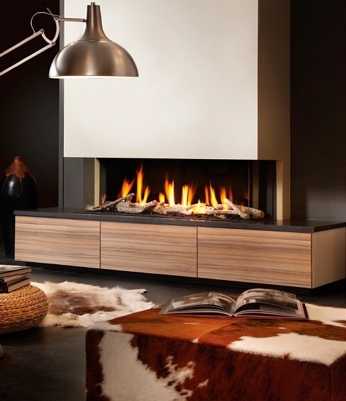 Fireplaces Trends - Dru Gas Fireplace PowerVent in...