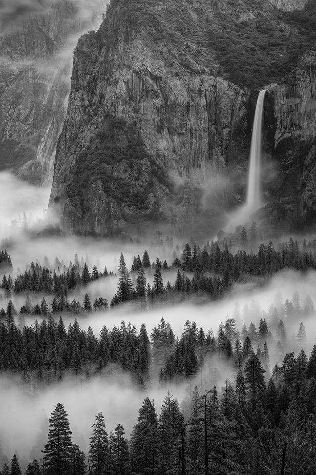 Yosemite Fog in black and white and rare perspecti...
