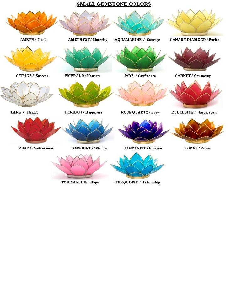 lotus flower color meanings | Lotus Capiz Shell Ca...