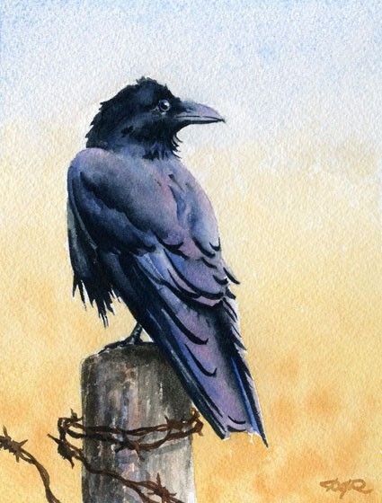 RAVEN Bird Wildlife Watercolor Signed Fine Art by...