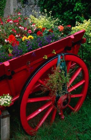 Flowers in a red cart