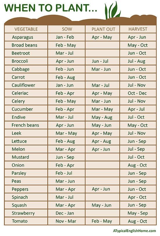 Figure out when to plant your seeds by the month....
