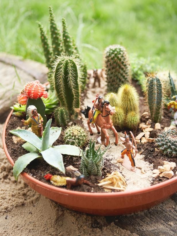 DIY Cactus Garden. A perfect gift for Mother's Day...