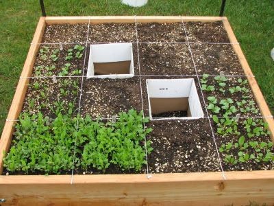 square foot gardening: "50 % of the Cost, 20% of t...