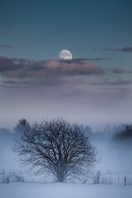 "Moon" by ©Tore Heggelund | Torehegg; Winter...