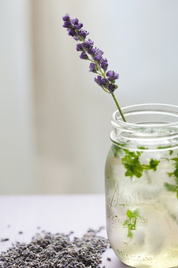 Lavender Mojito syrup -  sugar and charm – s...