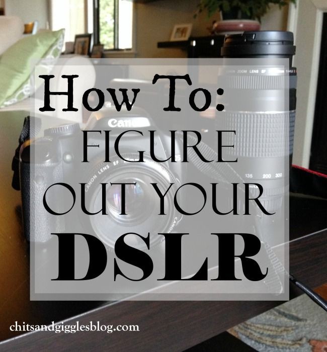 How To Figure Out Your DSLR - Chits and Giggles Bl...