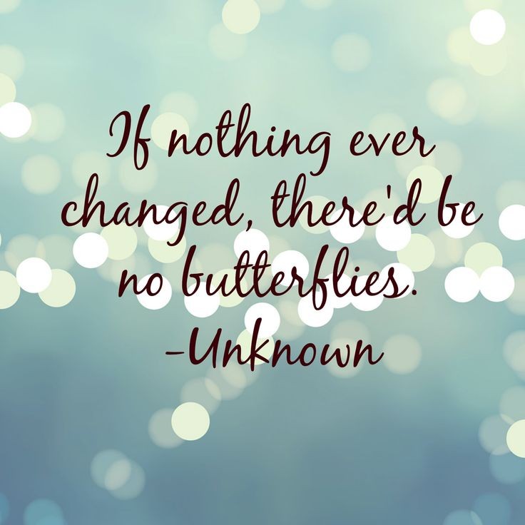 If nothing ever changed, there'd be no butterflies...