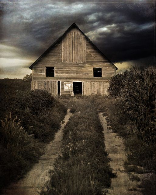 I want to paint old barns, i love looking at old b...