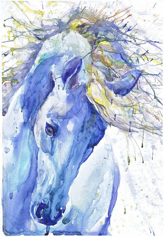 Horse , art, painting, watercolor, print,  head of...