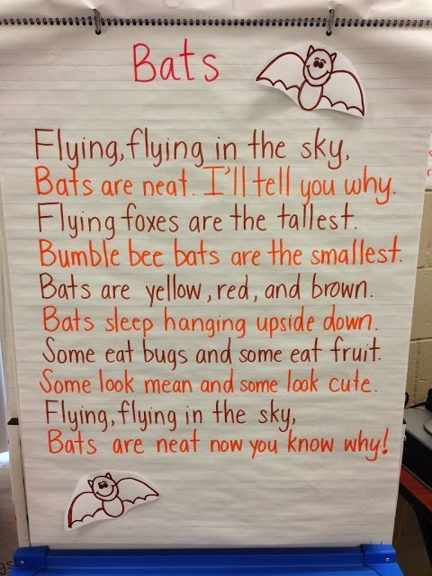 First Grade Teacher Firsts: Bats Week!
